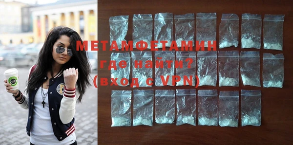 индика Дмитров