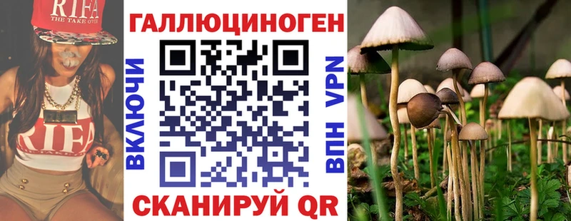 наркошоп  Лагань  Галлюциногенные грибы мухоморы 